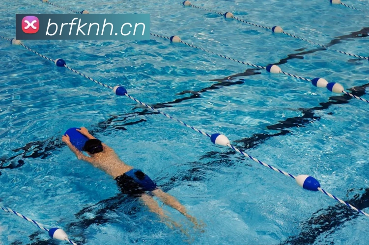 星空官网网页版入口发展历程